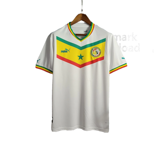 Camisa Seleção Senegal - Copa do Mundo 2022/23 Puma Masculino Torcedor