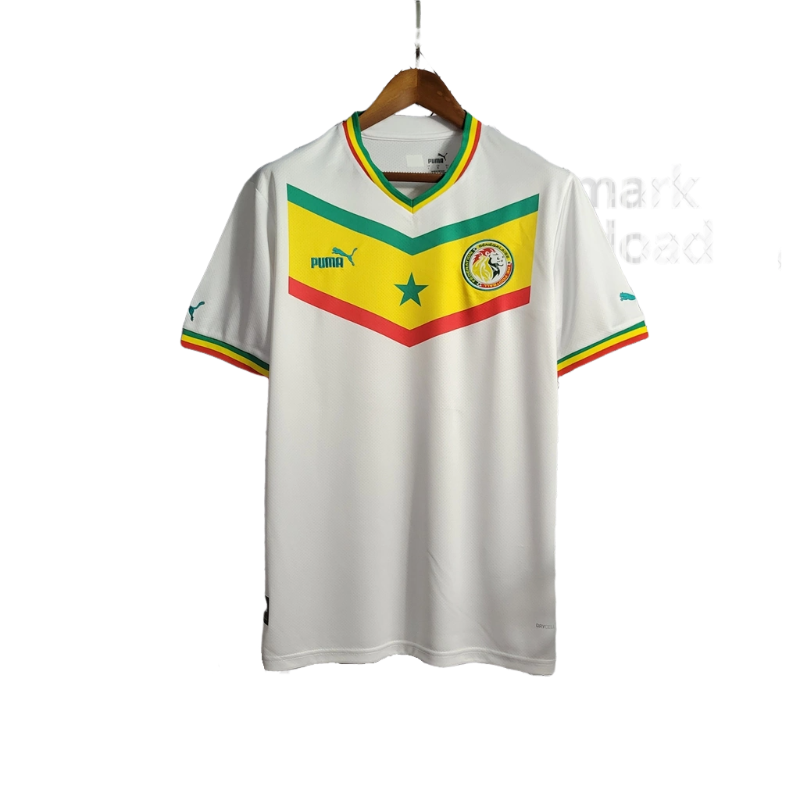 Camisa Seleção Senegal - Copa do Mundo 2022/23 Puma Masculino Torcedor