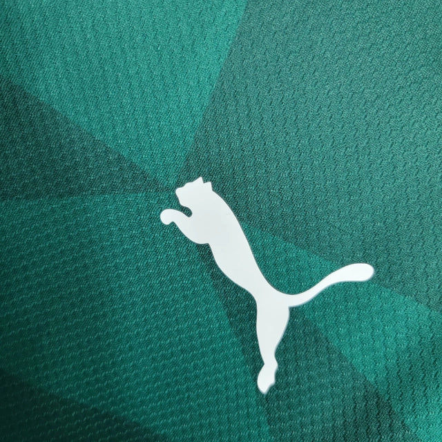 Camisa Palmeiras I 23/24 Torcedor Puma Masculina - Verde