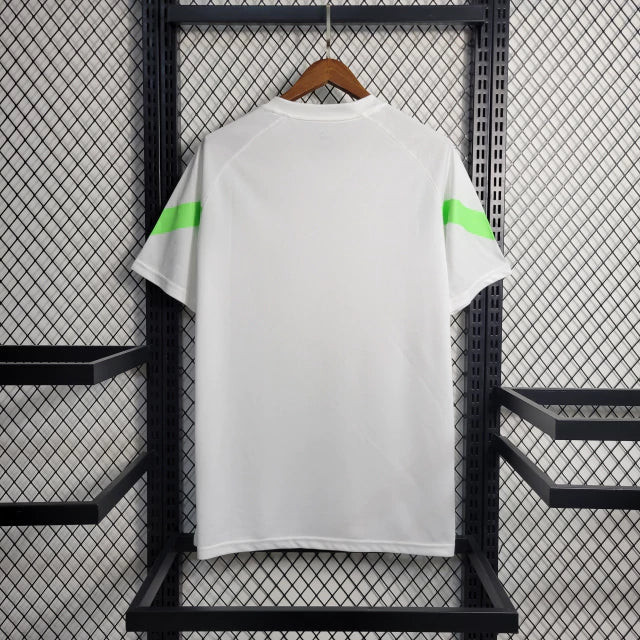 Camisa Palmeiras Treino 23/24 - Torcedor Puma Masculina - Branco e Verde Limão