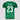 Camisa Puma Palmeiras 2025/26 I - R. VEIGA N° 23