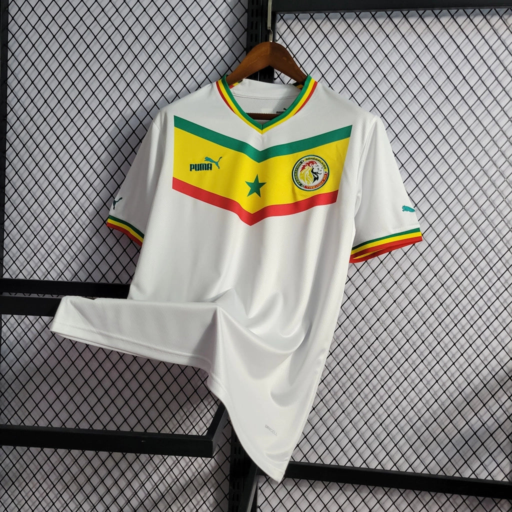 Camisa Seleção Senegal - Copa do Mundo 2022/23 Puma Masculino Torcedor