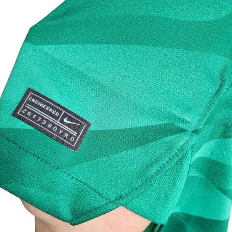 Camisa PSG Goleiro 23/24 Torcedor Jordan Masculina - Verde